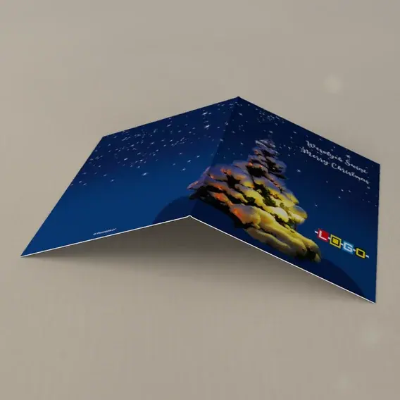Kartka świąteczna z logo BN1-162 Lampa przy zasypanym świerku, tył