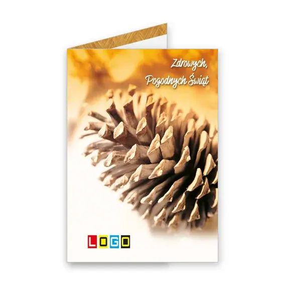 Kartka świąteczna z logo BN1-214 Szyszka w brązowej mgle, okładka