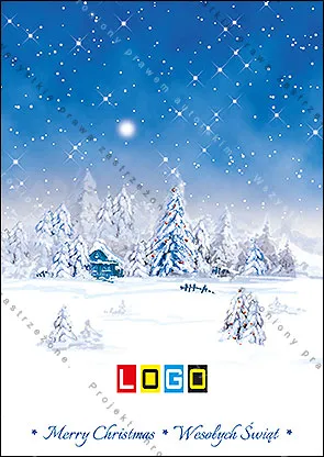 Domek w mroźnym lesie, rozłożony