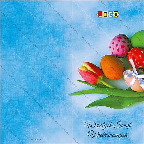 Kokarda wśród czerwonych tulipanów, rozłożony