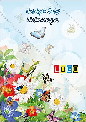 Motyle pod niebem pełnym światła, rozłożony